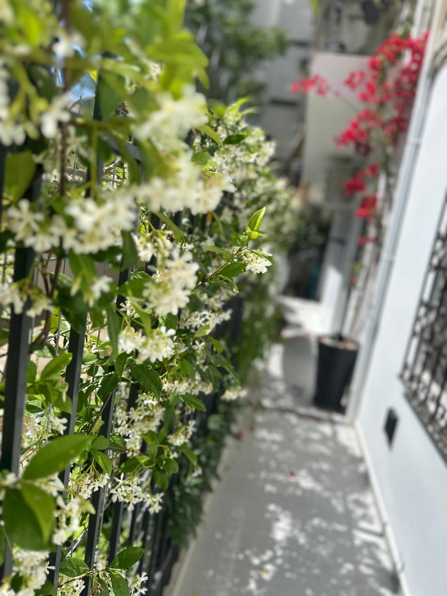 Apartamento Athenian Coastal Urban Living Exterior foto